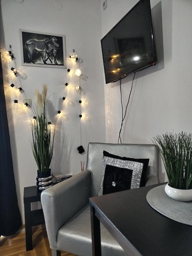 Studio Aries Vrnjačka Banja Dış mekan fotoğraf